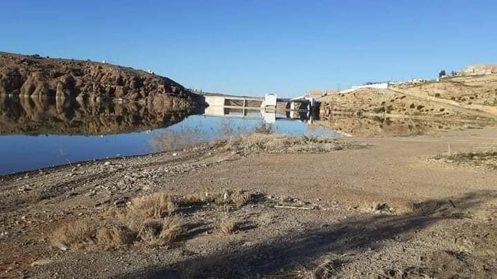 Algérie : l’agriculture est sérieusement menacée par la sécheresse, alerte un agronome