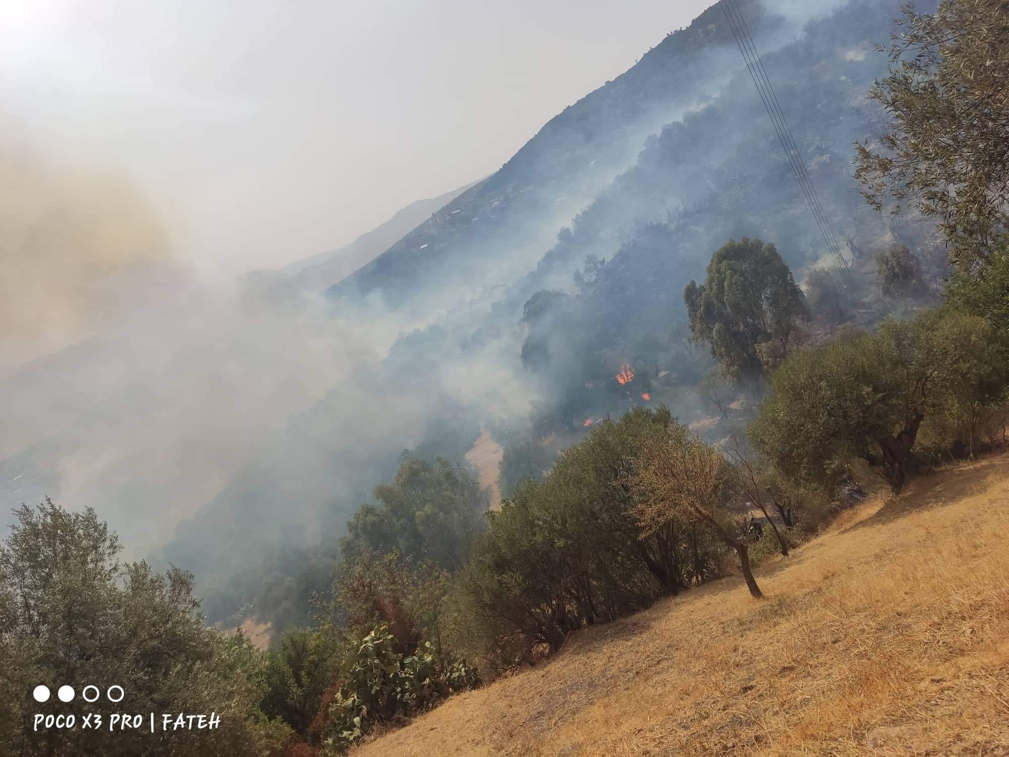 Urgent : la wilaya de Bejaia brûle