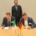 Condor en Allemagne