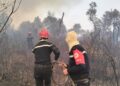 Incendies : les hôtels de Béjaïa annulent leurs soirées estivales en signe de solidarité