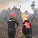 Incendies : les hôtels de Béjaïa annulent leurs soirées estivales en signe de solidarité