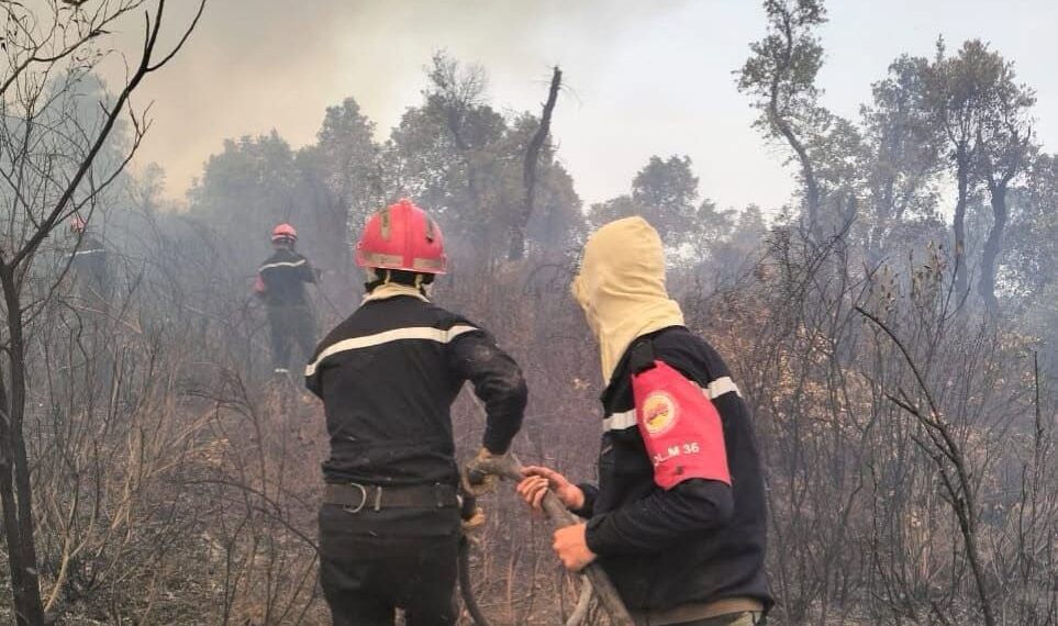 Incendies : les hôtels de Béjaïa annulent leurs soirées estivales en signe de solidarité