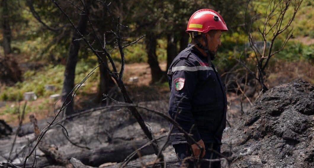 incendies en Algérie
