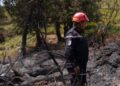 incendies en Algérie