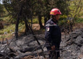 incendies en Algérie