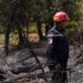 incendies en Algérie