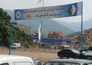 agences de voyages Bejaia