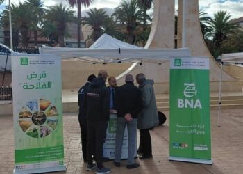 La BNA met en garde contre une fausse plateforme usurpant l’identité de son application officielle