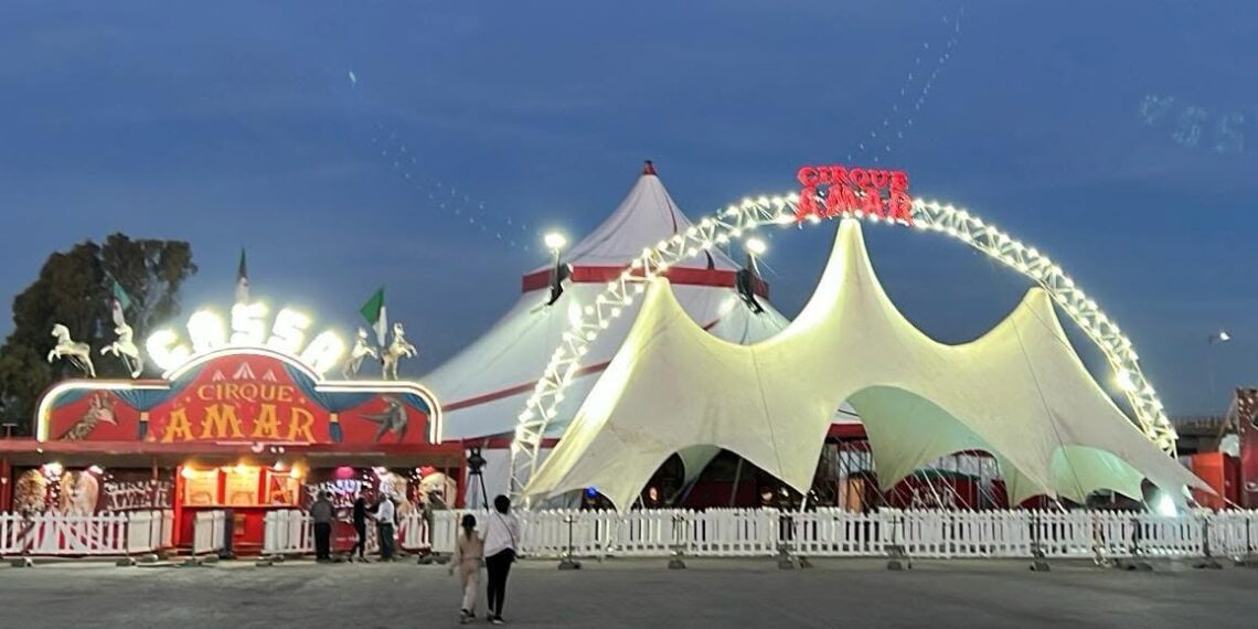 Cirque Amar : les Algériens privés de tournée cet été 2026