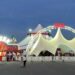 Cirque Amar : les Algériens privés de tournée cet été 2026