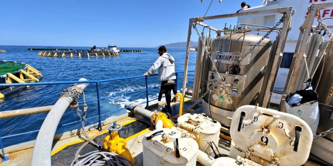 aquaculture