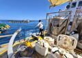 aquaculture
