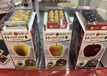 pomme de Bouhmama